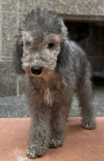 01217060-112025-WANZ-g05