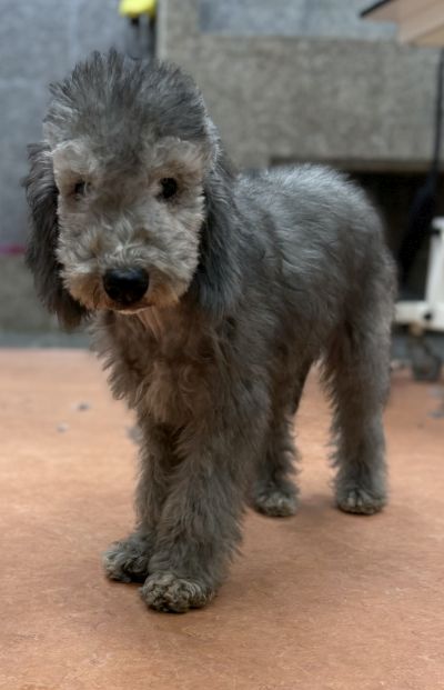 01217060-112025-WANZ-g06