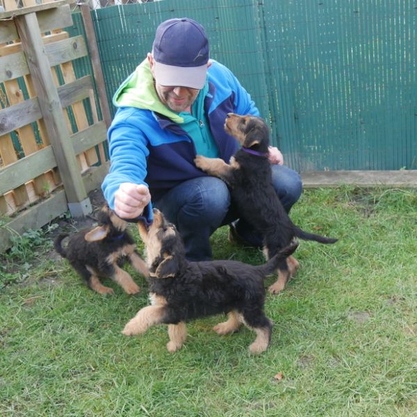 Airedale Terrier Züchter Otto Skrypczak vom Planetnefeld