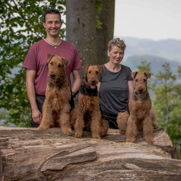 Airedale Terrier Züchter vom Dassendal