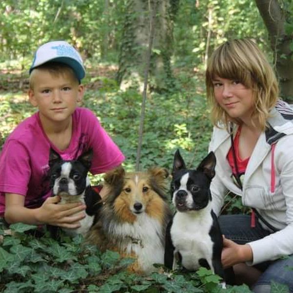 zwei Kinder mit Boston Terriern und einem Collie
