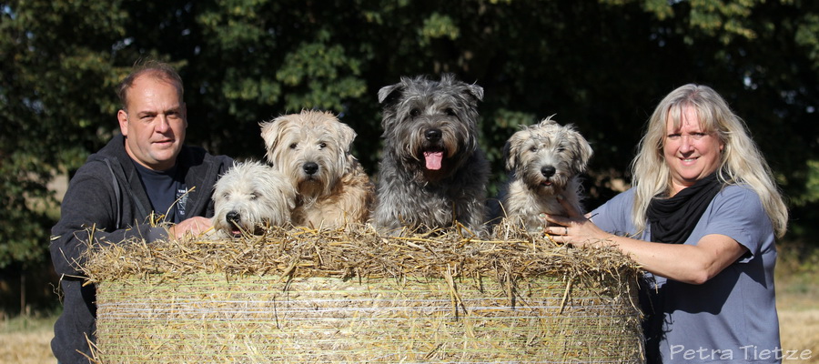 Familie Engel-Beier mit ihrem Irish Glen of Imaal Terrier Rudel