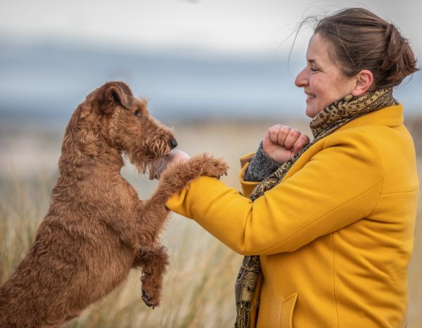 Irish Terrier BETEIGEUZES