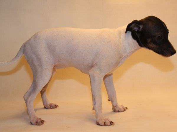 15465140-022026-WANZ-g02