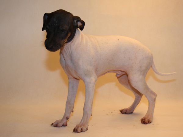 15465140-022026-WANZ-g03