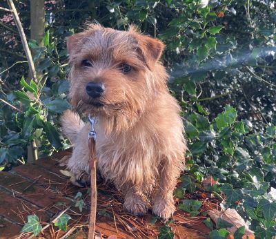 20261670-20251123-JT-g01