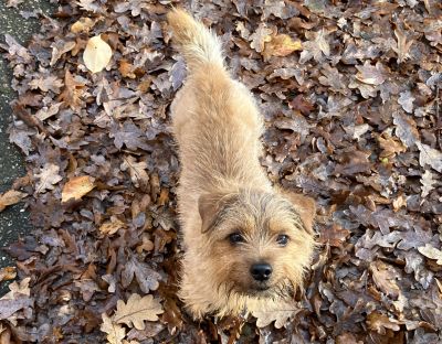 20261670-20251123-JT-g02