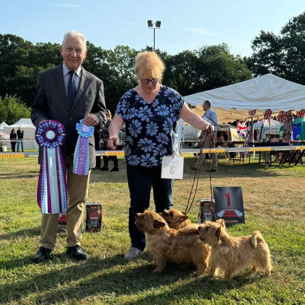 Züchterin Norwich Terrier von Stoppelhopser