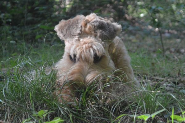 28276280-042025-WANZ-g01