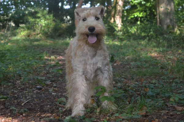 28276280-042025-WANZ-g02