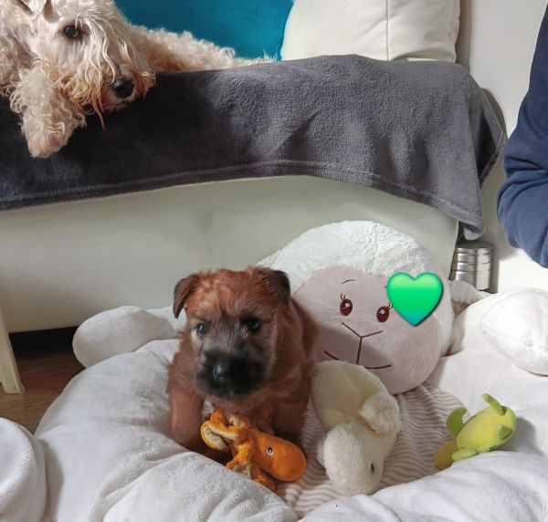 28425550--082025-WELP-05