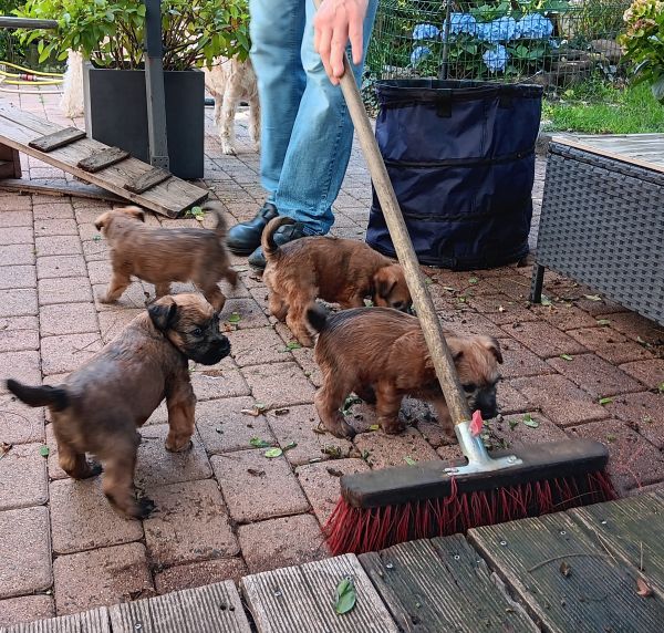 28425550--082025-WELP-07