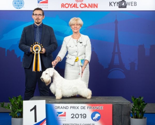 Sealyham Terrier Jambo ist Best Junior In Group in Paris