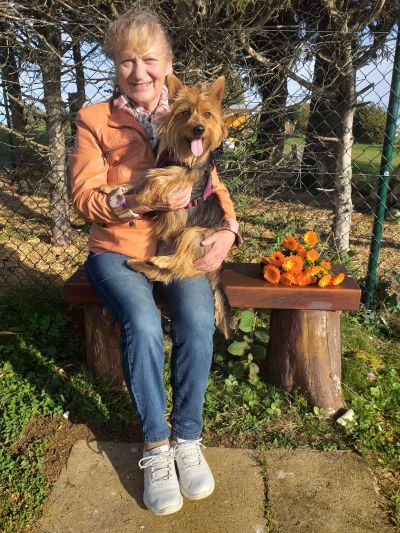 Australian Terrier JUMPERS KEEPER OF MILLVALLEY