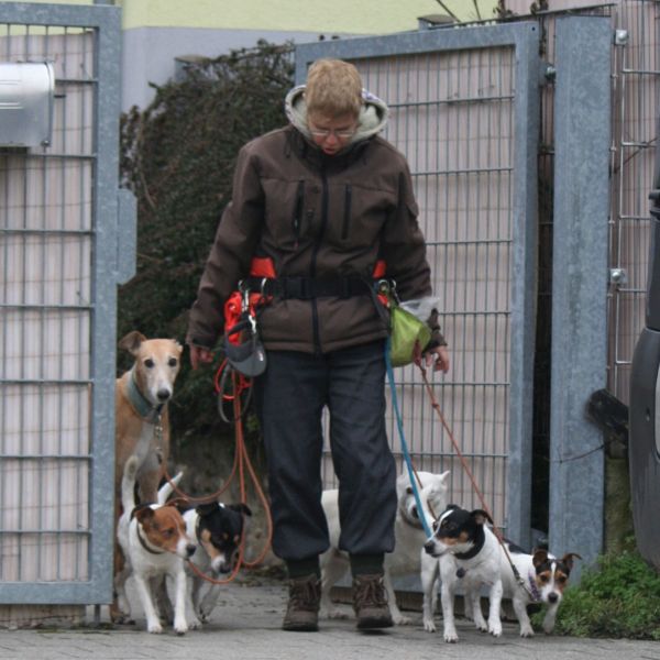 Ausflug in der Hundschule