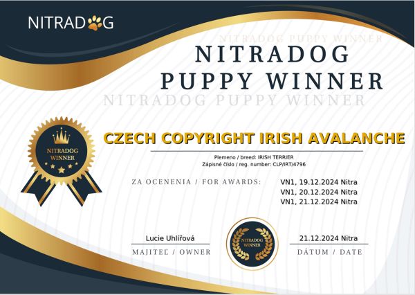 CZECH COPYRIGHT IRISH AVELANCHE