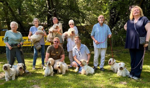 Blog-Sealyham-Treffen-2026-g01