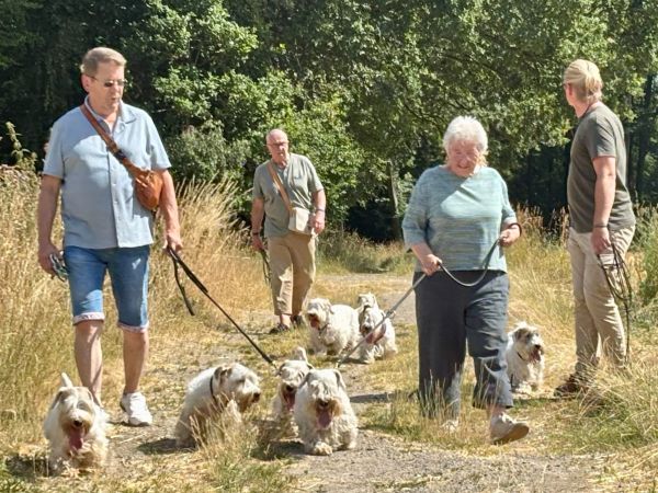 Blog-Sealyham-Treffen-2026-g04