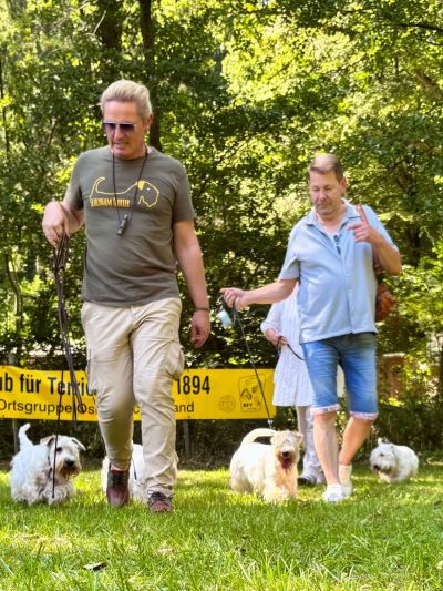 Blog-Sealyham-Treffen-2026-g13