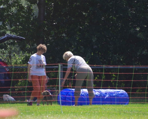 Border Terrier Treffen