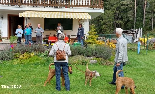 Einladung zum Irish Terrier Treffen 2023 in Tirol