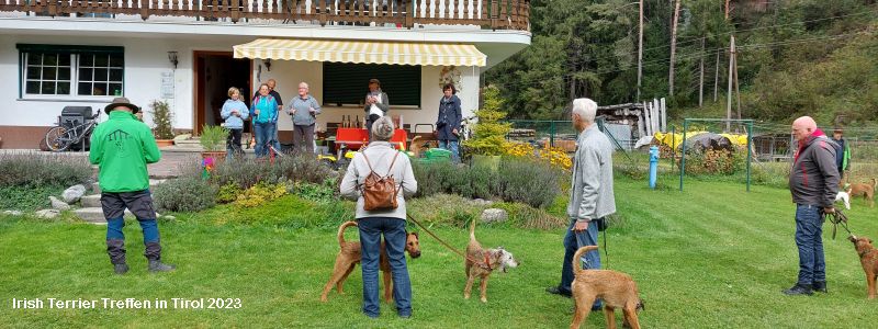 Einladung zum Irish Terrier Treffen 2023 in Tirol