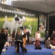 VDH-Messe Hund und Pferd Dortmund 2019