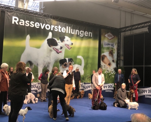 VDH-Messe Hund und Pferd Dortmund 2019