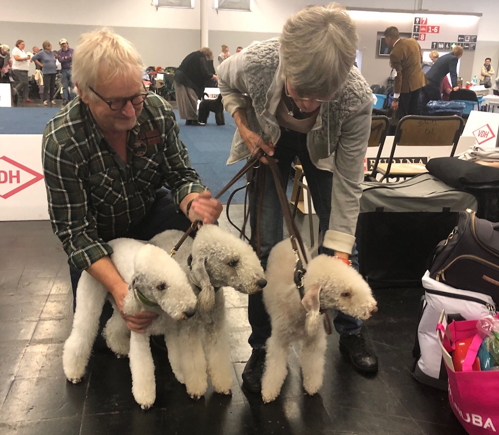 VDH-Messe Hund und Pferd Dortmund 2019