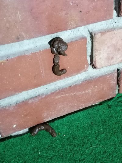 Hundehaufen der Welpen klebt an der Wand