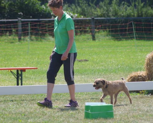 Border Terrier Treffen