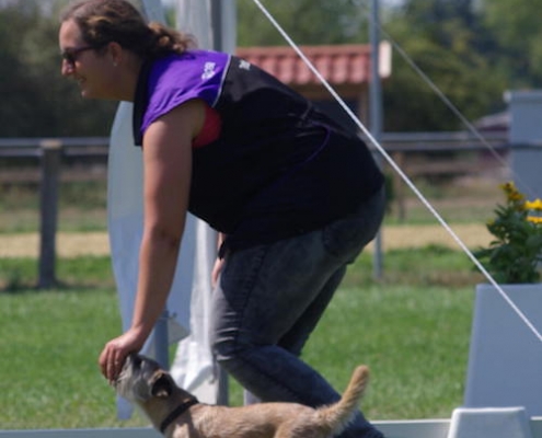 Border Terrier Treffen