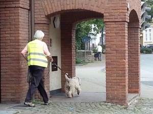 Terrier Mantrailling