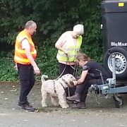 Terrier Mantrailling