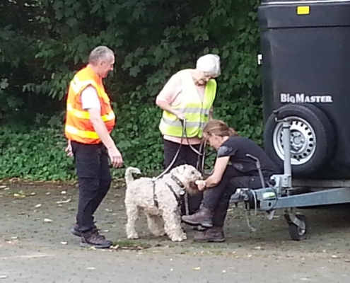 Terrier Mantrailling