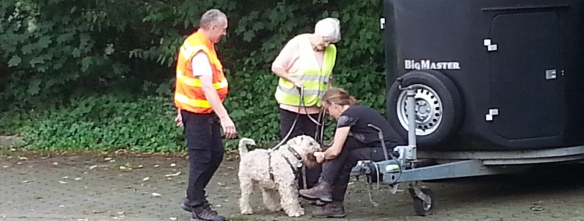 Terrier Mantrailling