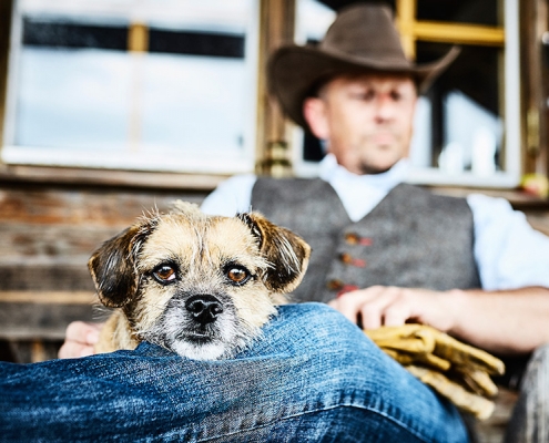 Border Terrier Jasper