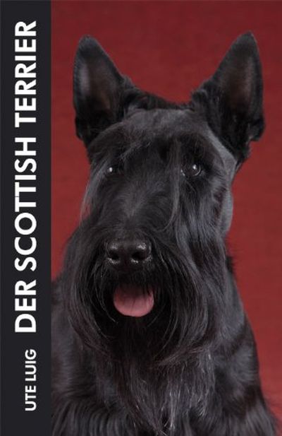Buch über den Scottisch Terrier