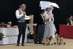 Bild von der Präsentation zur 100 Jahre Klub für Terrier Ausstellung