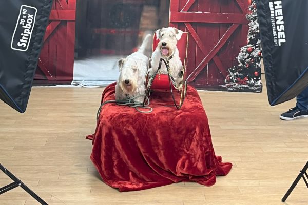 Weihnachtsshooting in Osnabrück
